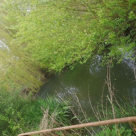 Au Chant Des Grenouilles Patay Exterior foto
